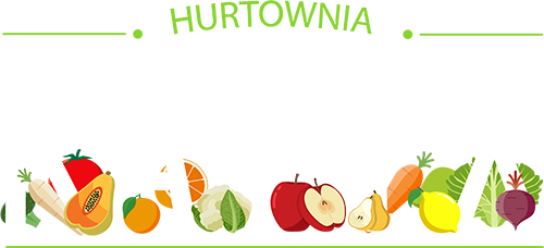 Hurtownia warzyw i owoców Kamex - logo